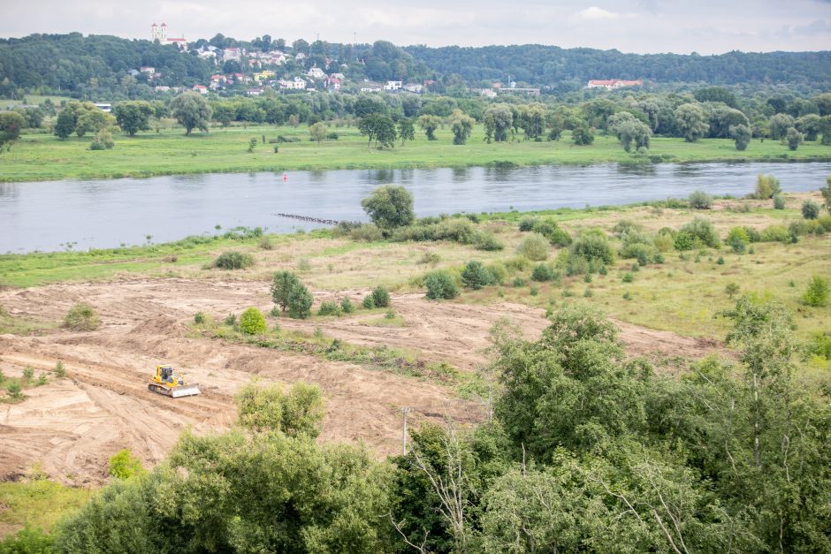 Gyventojus išgąsdino darbai ties Pyplių piliakalniu