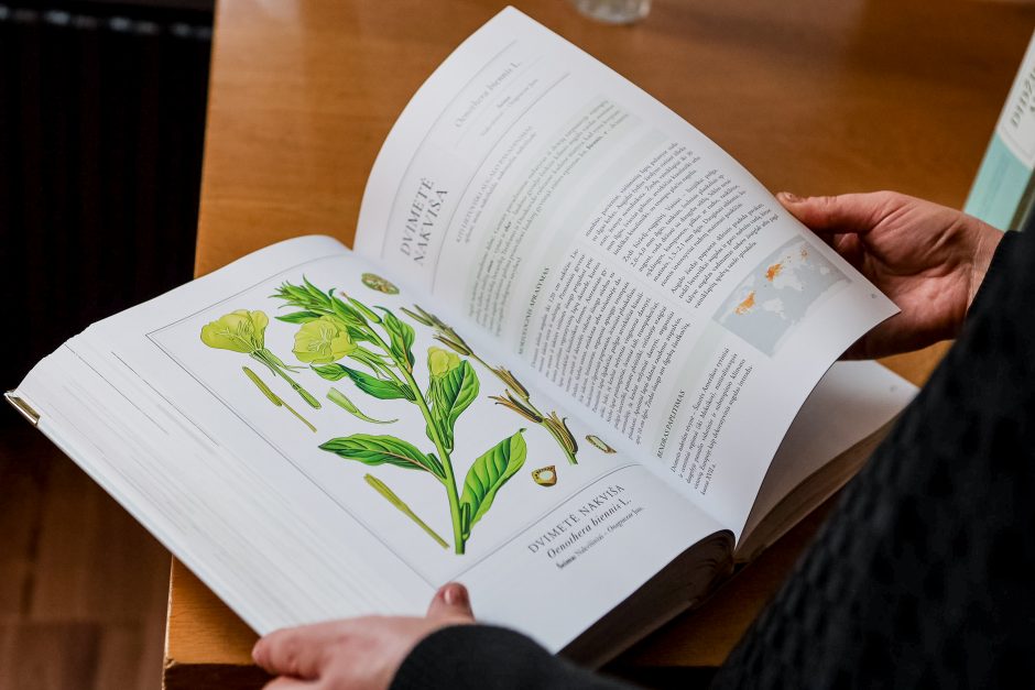 Į skaitytojų rankas – vaistažolių biblija: čia saugomos 170 vaistinių augalų paslaptys