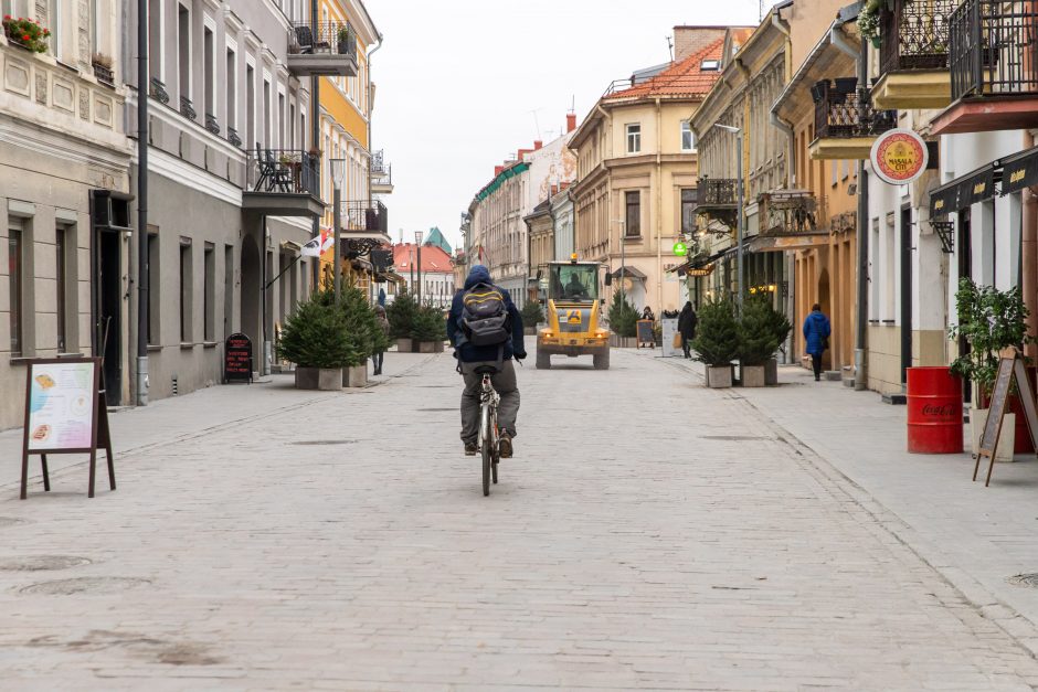 Vilniaus gatvė puošiama, bet darbų pabaigos teks palaukti