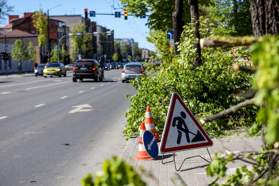 Medžiuose – lizdai, bet šakos genimos?