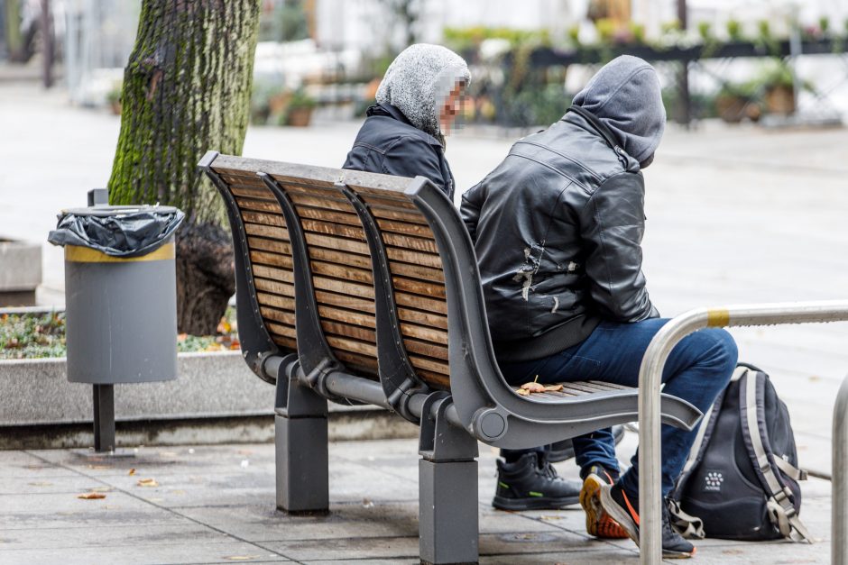 Benamiai sugrįžo į Laisvės alėją: kaip jiems padėti?