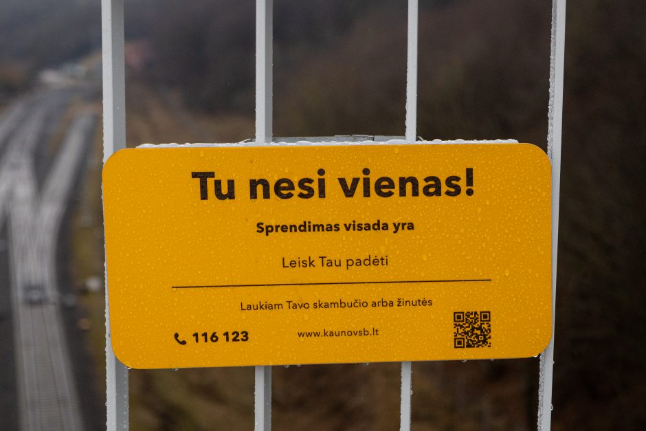 Vėl pirštu beda į Trijų mergelių tilto defektus: jei taip toliau, viskas bus sulopyta