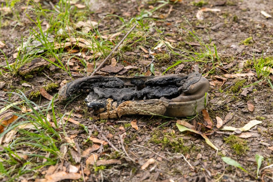 Akibrokštas Ramybės parke: skandalingo įvykio vietoje nutverti užsieniečiai – tik atpirkimo ožiai?