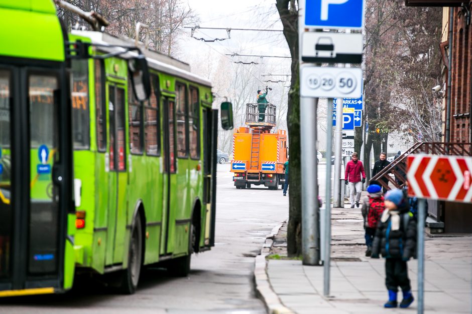 Medikai – apie troleibuso galimai vilktos merginos savijautą