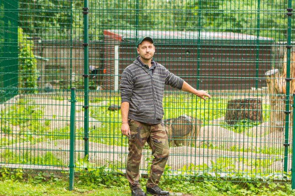 Plėšrūnų prižiūrėtojas: su gyvūnais patiri mažiau streso nei su žmonėmis