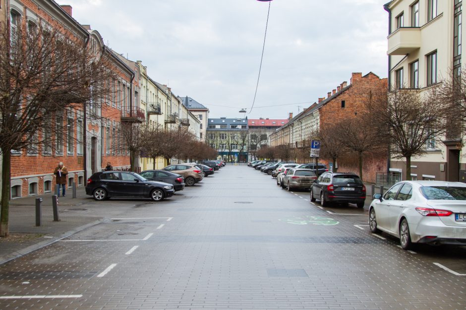 Vairuotojų įžūlumui nėra ribų: laužo jaunus medelius