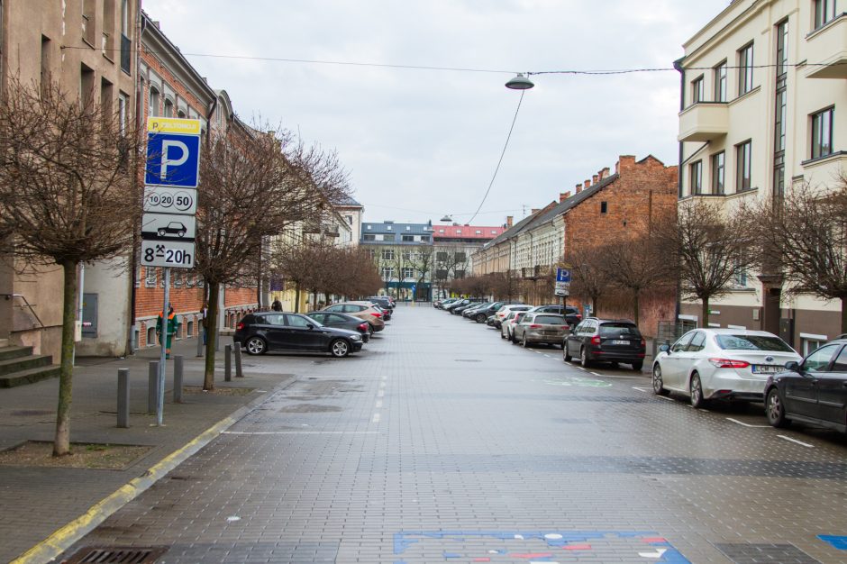 Vairuotojų įžūlumui nėra ribų: laužo jaunus medelius