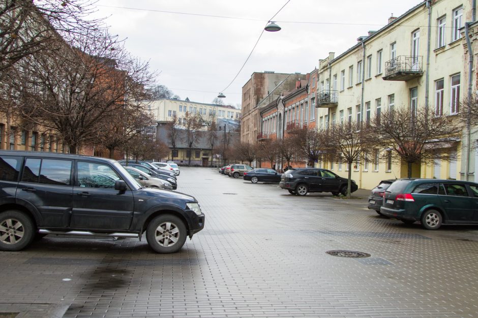 Vairuotojų įžūlumui nėra ribų: laužo jaunus medelius