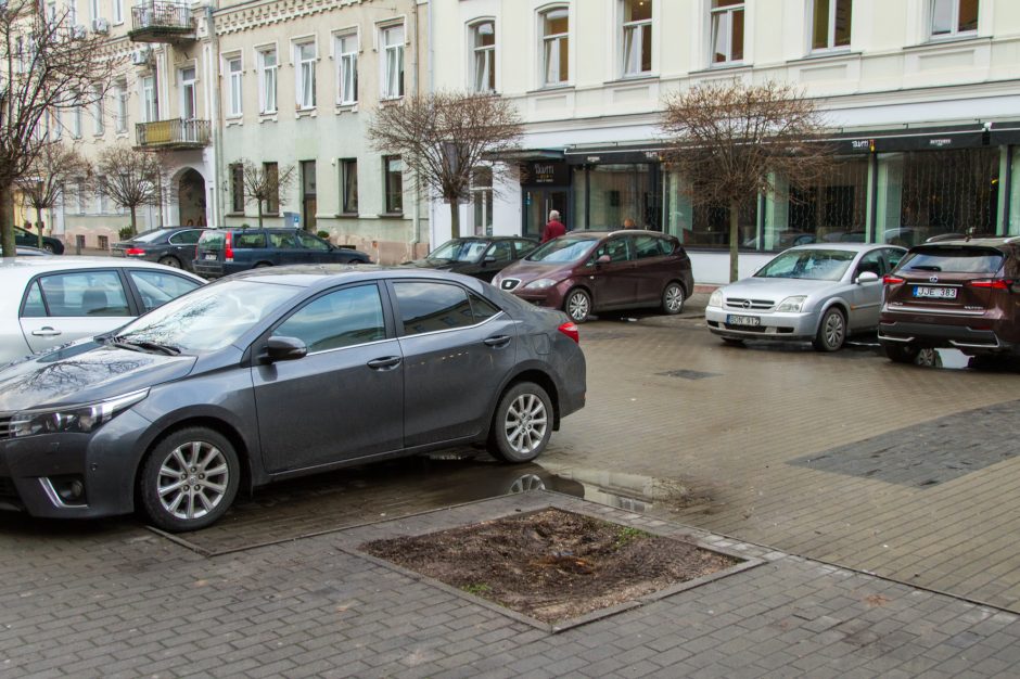 Vairuotojų įžūlumui nėra ribų: laužo jaunus medelius