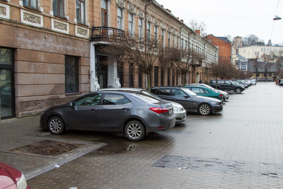 Vairuotojų įžūlumui nėra ribų: laužo jaunus medelius