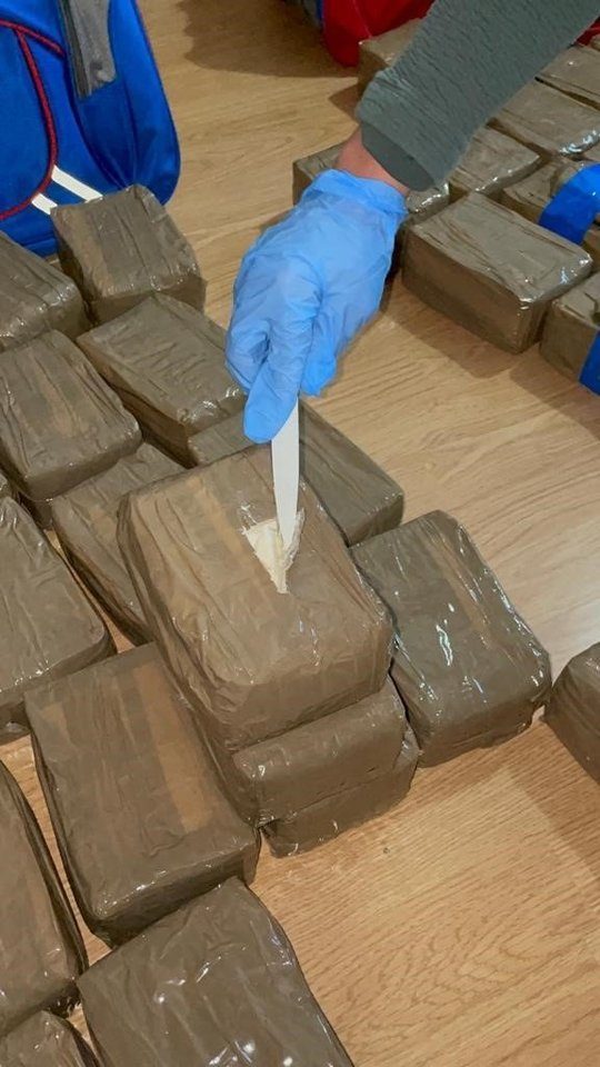 Juodojoje rinkoje 6 mln. eurų vertus narkotikus pavers pelenais