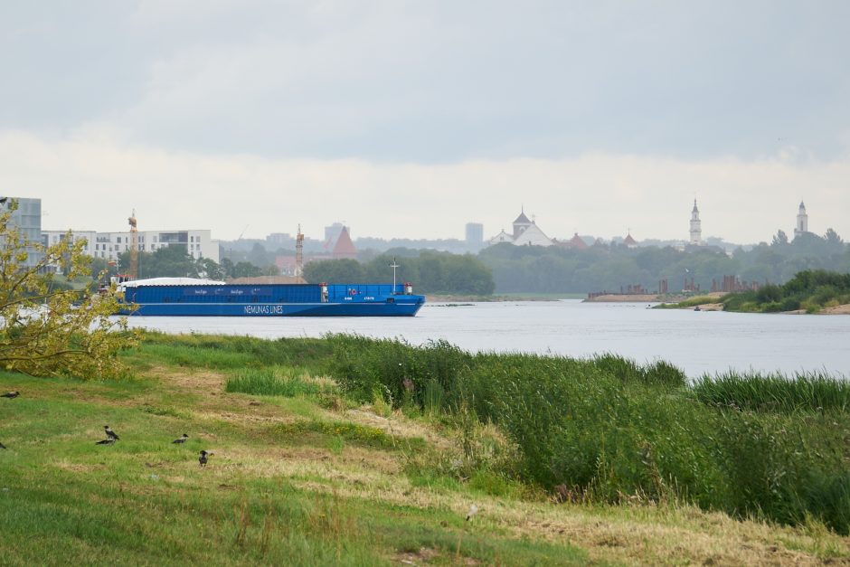 Naujas logistikos kelias: grūdai Nemunu pasiekė Klaipėdą