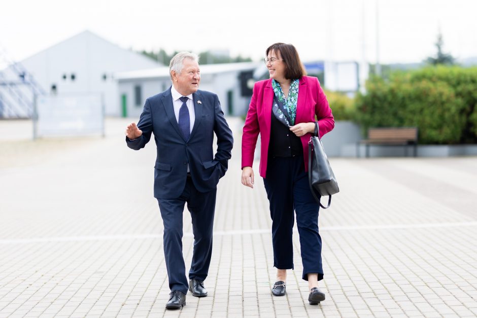 G. Landsbergis konservatorių suvažiavime: lunatizmo eroje išaušo Chamo era