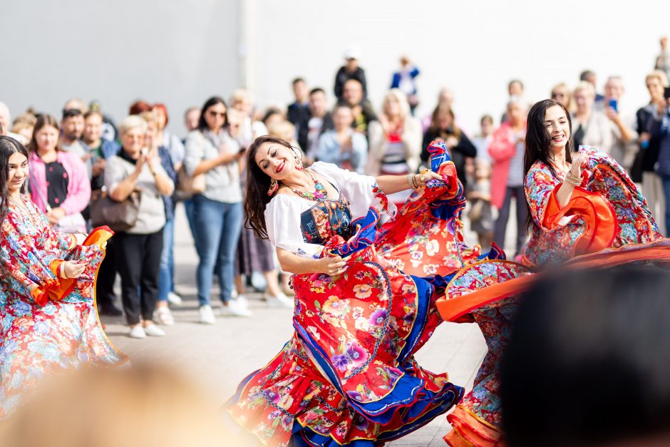 Teatrališka romų eisena su žirgais