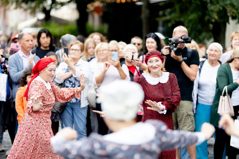 Teatrališka romų eisena su žirgais