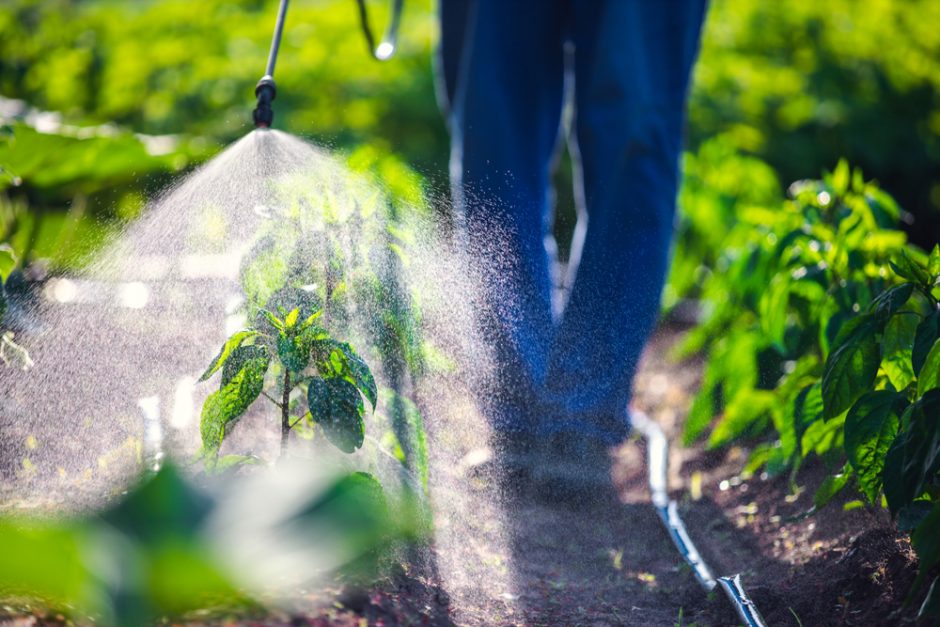 Nuo ūkio iki stalo: modernūs ūkiai mažina pesticidų ir trąšų naudojimą