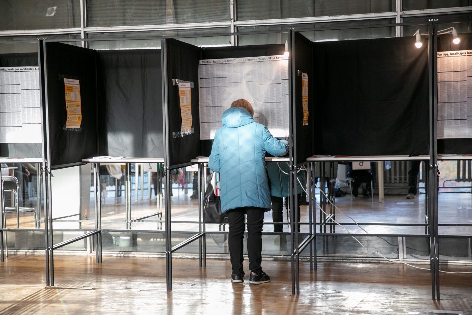 Stebėtojai užfiksavo dešimtis pažeidimų rinkimuose: situaciją įvertino ir R. Požėla 