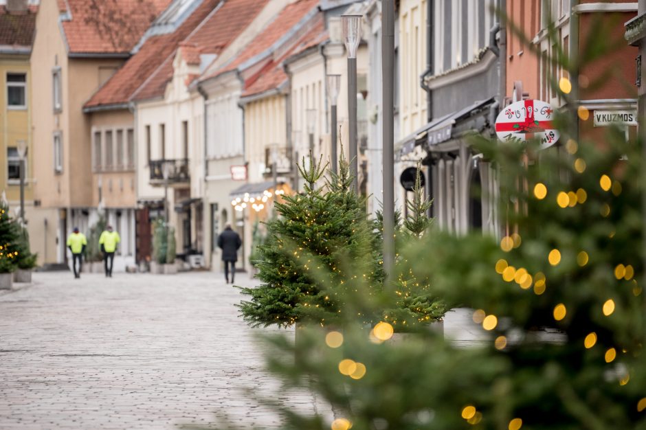 Kelias į Kalėdas: puošni Vilniaus gatvė, auksu tviskanti žaliaskarė ir jaukus kalėdinis miestelis