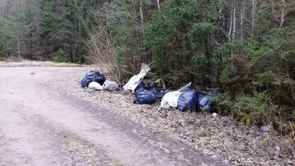 Pavasarį gamta traukia ne tik jos mylėtojus, bet ir šiukšlintojus