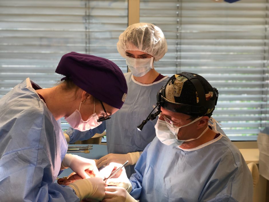 Garsus plastikos chirurgas V. Kaikaris įsidarbino naujoje klinikoje