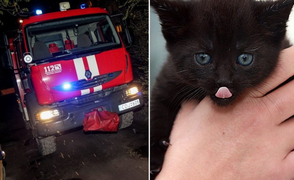 Kauno ugniagesiai vyko gelbėti automobilyje įstrigusio kačiuko