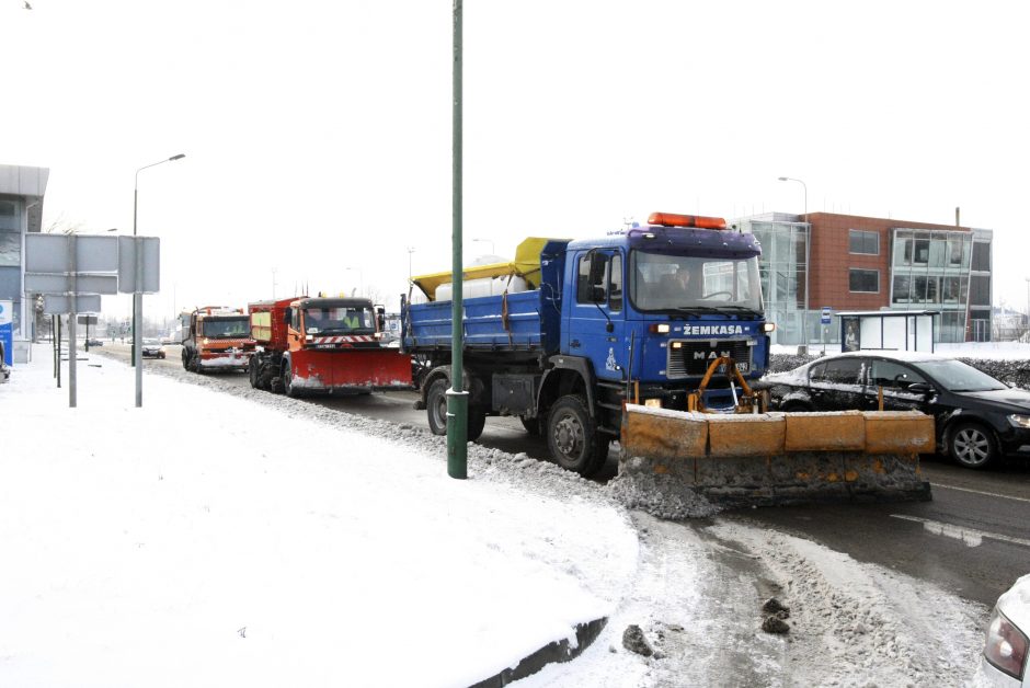 Žiema Klaipėdoje buvo švelnesnė nei ankstesnioji