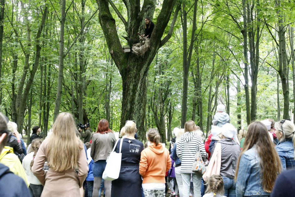 Skulptūrų parke kils karas?