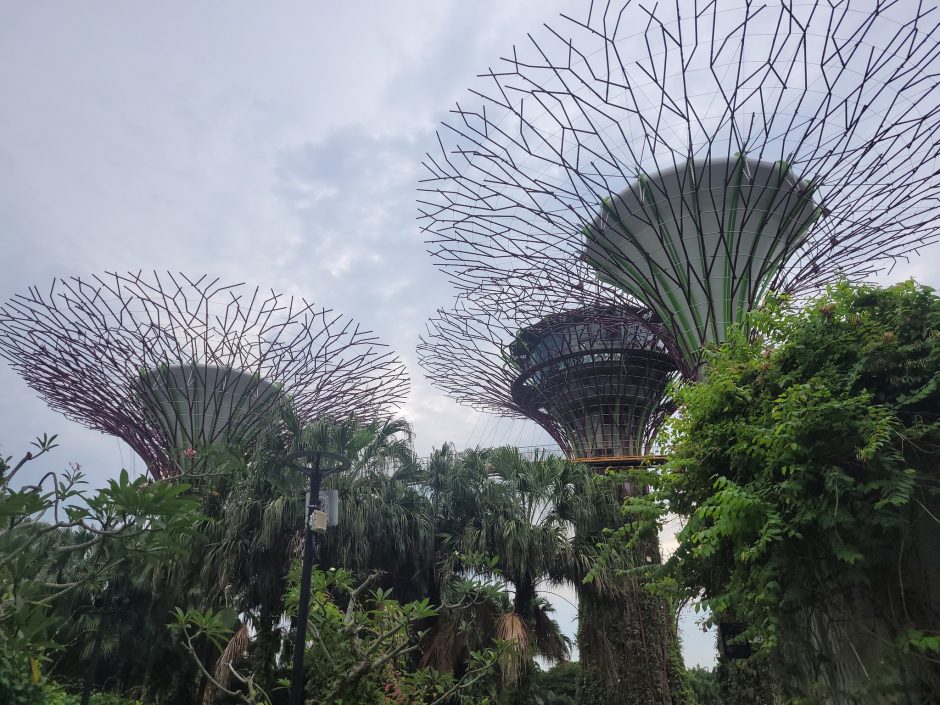 Australija ir Singapūras lietuviams pasirodė kaip kitas pasaulis