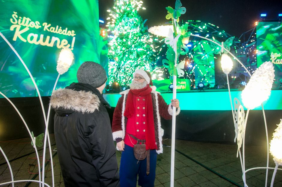 Įžiebta pagrindinė Kauno eglė: mieste prasideda šiltų Kalėdų laukimas