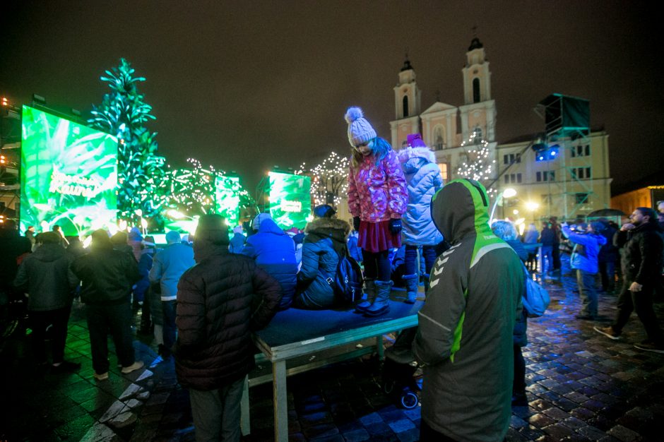 Kalėdų eglės įžiebimas: kauniečiai rinkosi prie tvorų