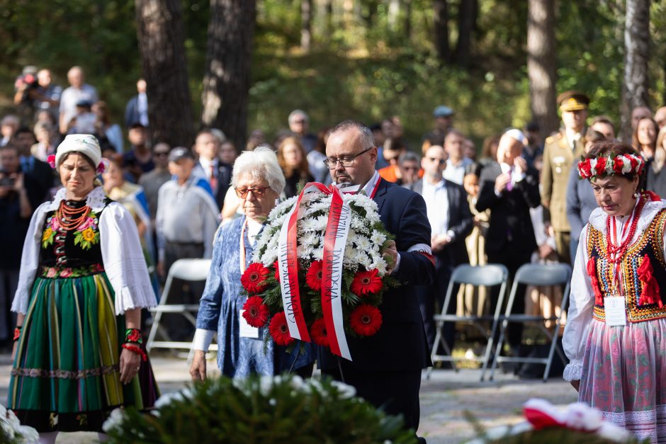 I. Šimonytė ragina vienytis prieš į Seimą kandidatuojančias antisemitines jėgas