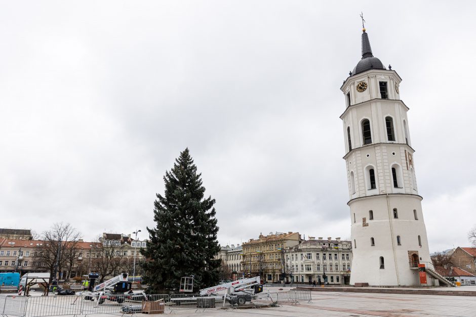 Vilnių puoš natūrali eglė, bus pristatytas interaktyvus Kalėdų žemėlapis