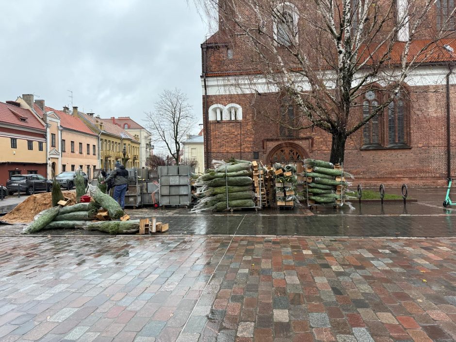 Pasiruošimas Kalėdoms: Kauno senamiestyje jau rikiuojamos eglutės