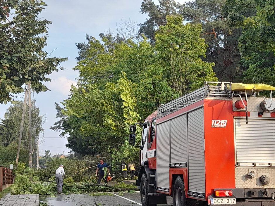Ignalinoje praūžė audra: apsemtos gatvės, nutraukti elektros laidai
