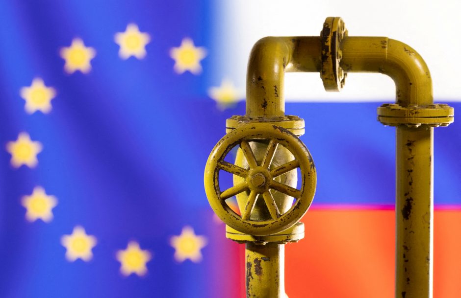 M. Rutte kartoja: negalima staiga atsisakyti rusiškų dujų ir naftos