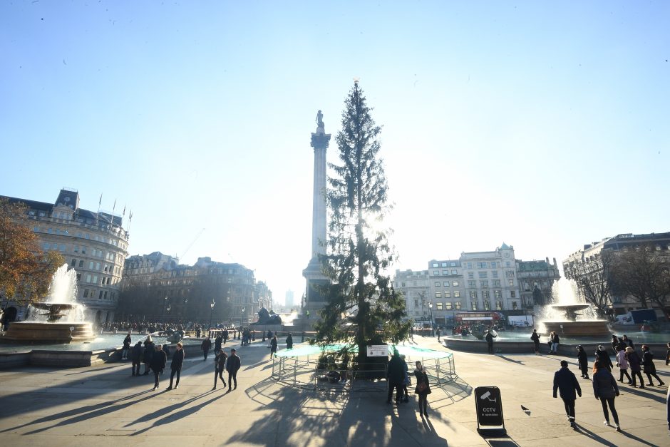 Londono Kalėdų eglė tapo pajuokos objektu