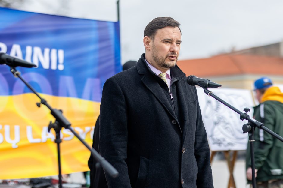 Ukrainos ambasadorius: šiandien minime kovą tarp autoritarizmo ir nemirštančios laisvės