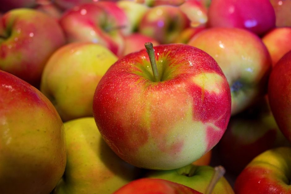 Menkas obuolių derlius augina kainas