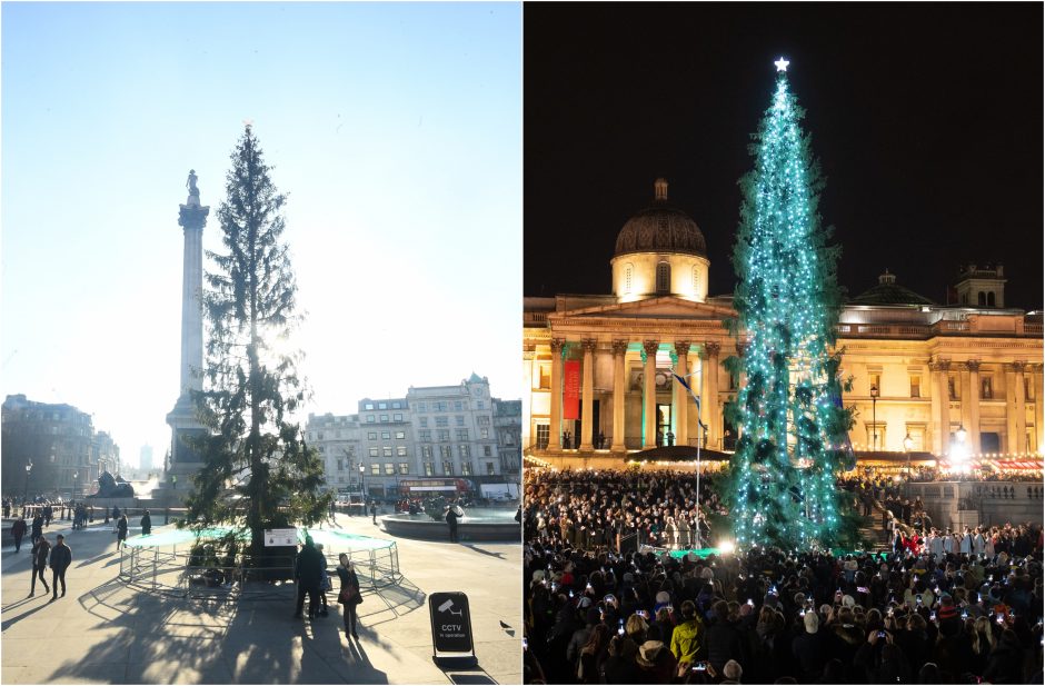 Londono Kalėdų eglė tapo pajuokos objektu