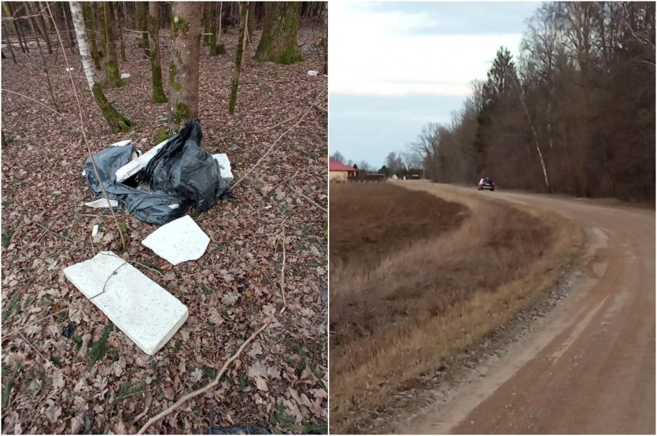 Kraupsta nuo radinių valstybiniuose miškuose: nesibaigiančios istorijos