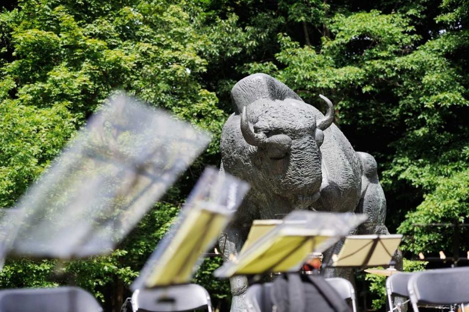 „Ąžuolynas“ vėl kviečia į muzikinius piknikus