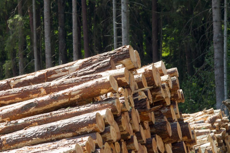 Miškų reforma palanki tik stambiam kapitalui?