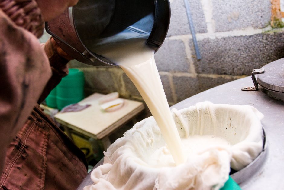 Praėjusiais metais – 434 bandymai klastoti duomenis apie pieno kokybę