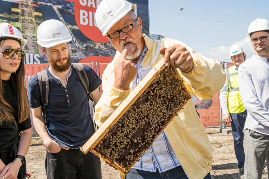 Verslo miestelio „Urban HUB“ statybų pradžią paskelbė įkurdinta bičių bendruomenė