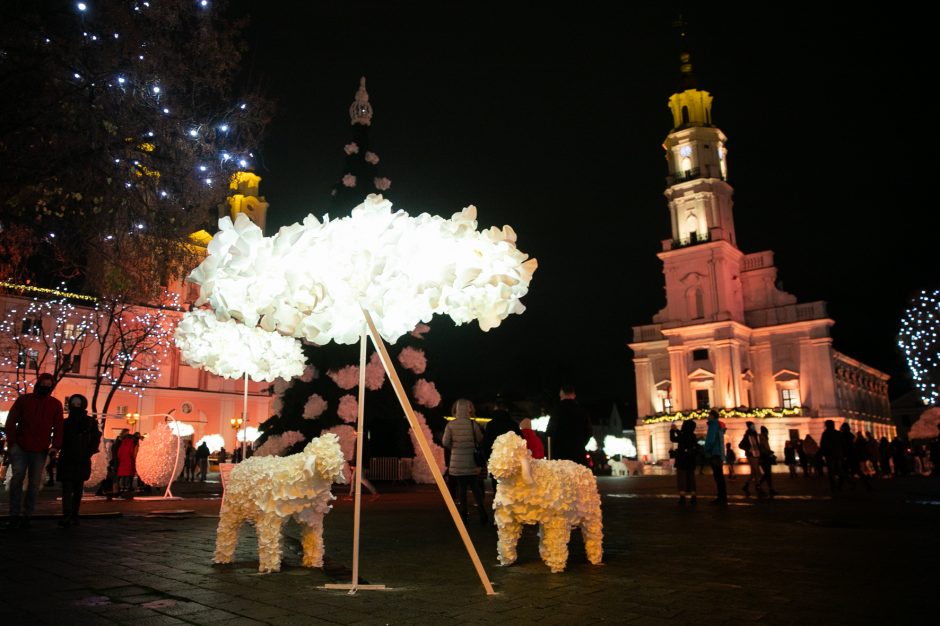 Kauno Kalėdų eglės abejingų nepalieka: šių metų ar pernykštė labiau žavi?