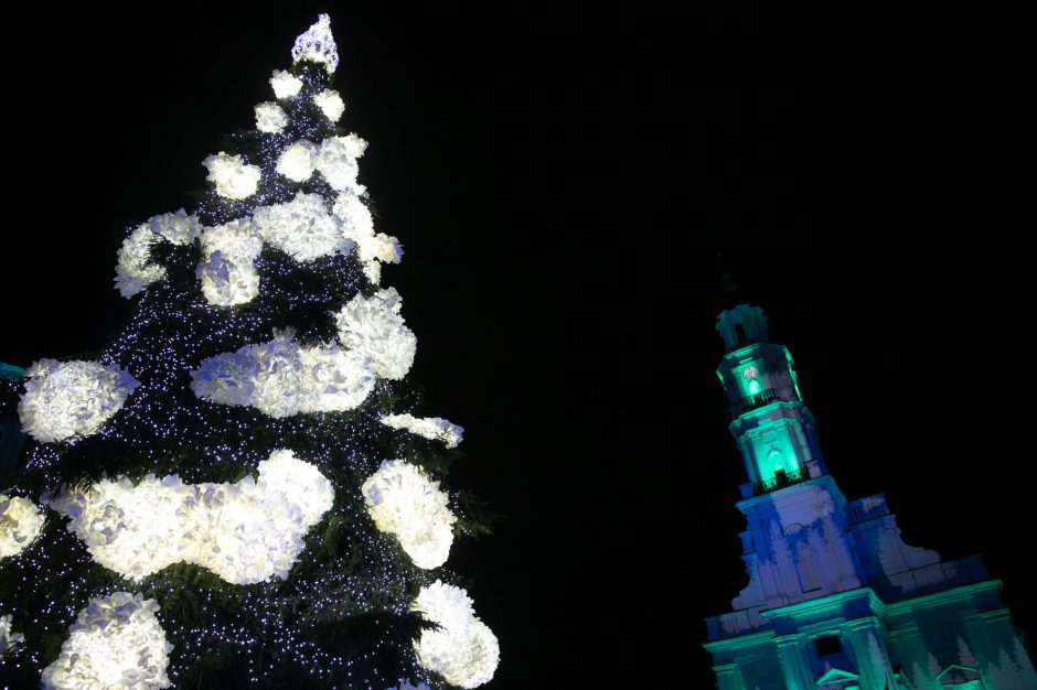 Kauno Kalėdų eglės abejingų nepalieka: šių metų ar pernykštė labiau žavi?