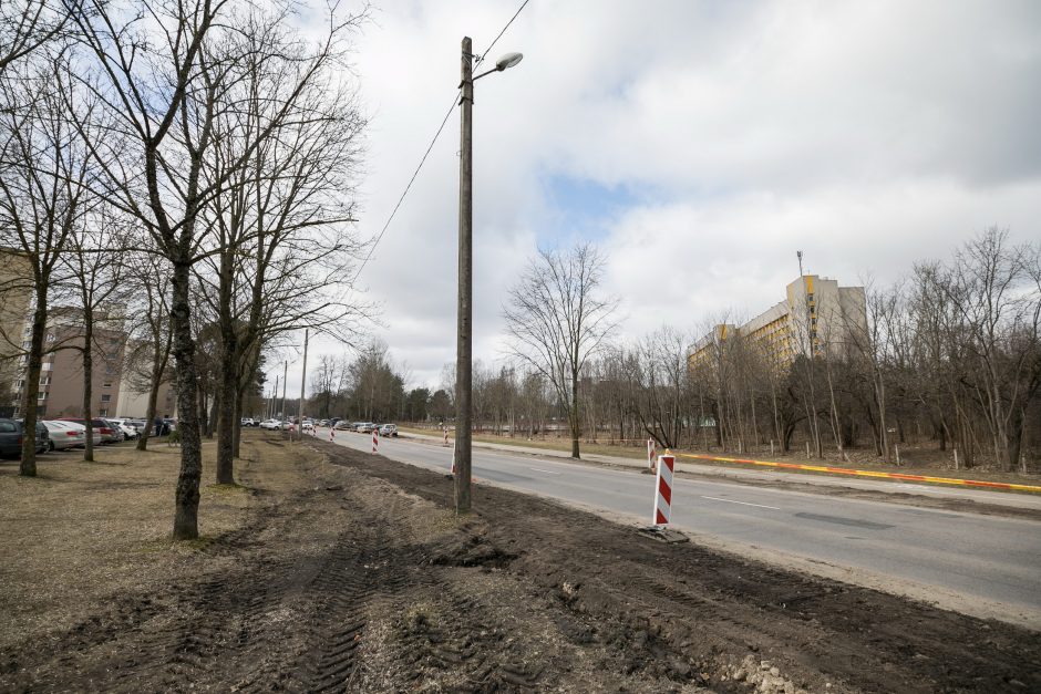 Iki vasaros sezono bus rekonstruota Žaliųjų ežerų gatvė