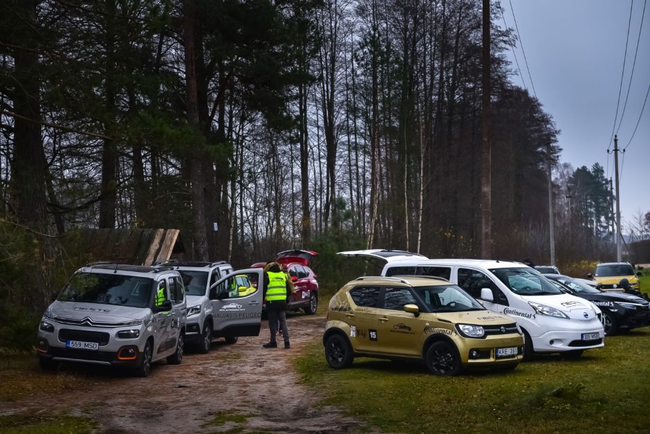 Kokie automobiliai stabdo geriausiai?