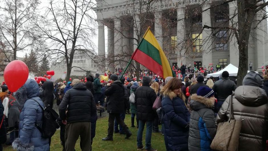 Netoli Seimo vyko mitingas dėl iš šeimų paimamų vaikų 