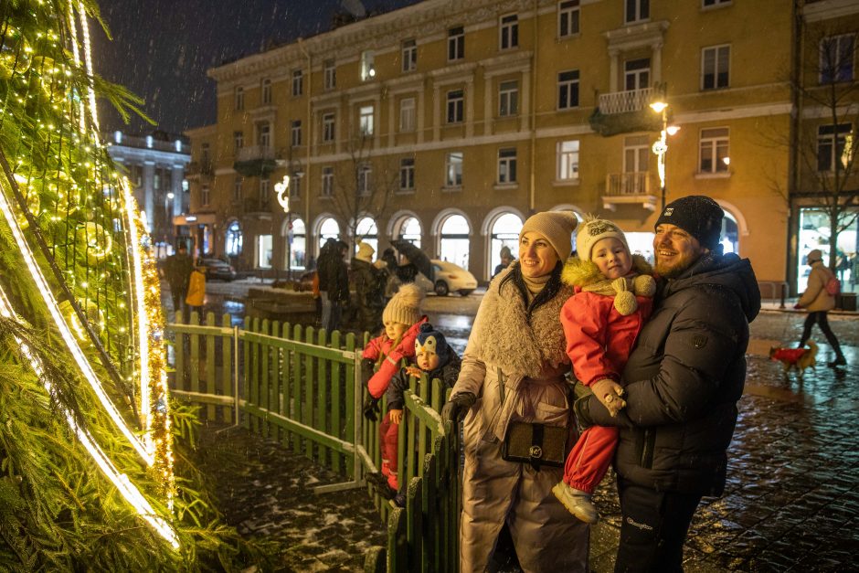 Vilniaus rotušėje įžiebta kalėdinė eglutė